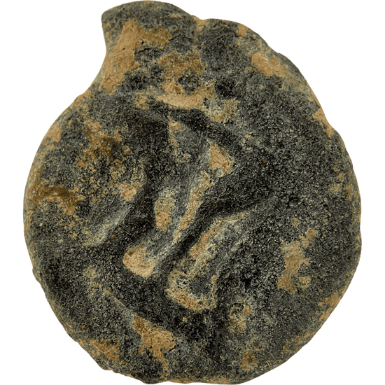 Obverse of bronze Herod the Great prutah, showing a royal diadem