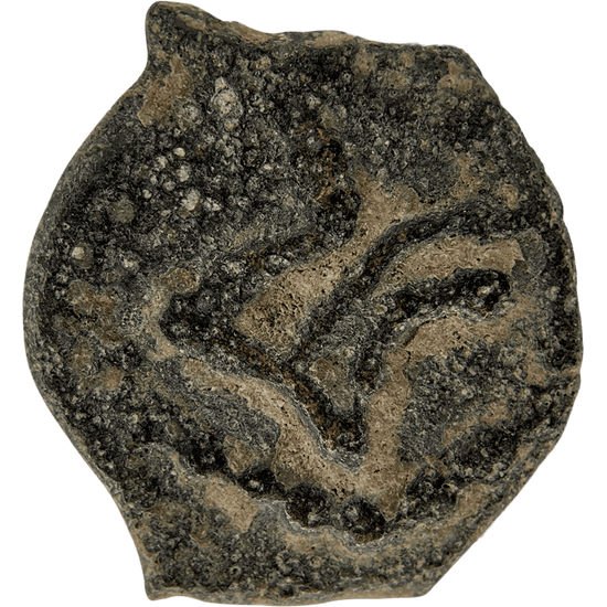 Reverse of bronze Herod the Great prutah, showing a three-legged Temple table
