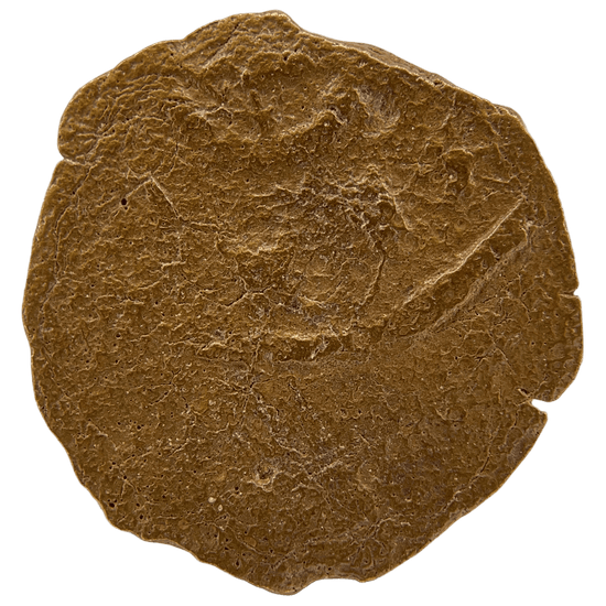 Reverse of bronze Herod the Great prutah, showing a three-legged Temple table