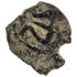 Reverse of bronze Herod the Great prutah, showing a three-legged Temple table
