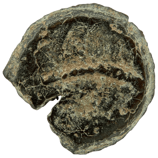 Reverse of bronze Herod the Great prutah, showing a three-legged Temple table