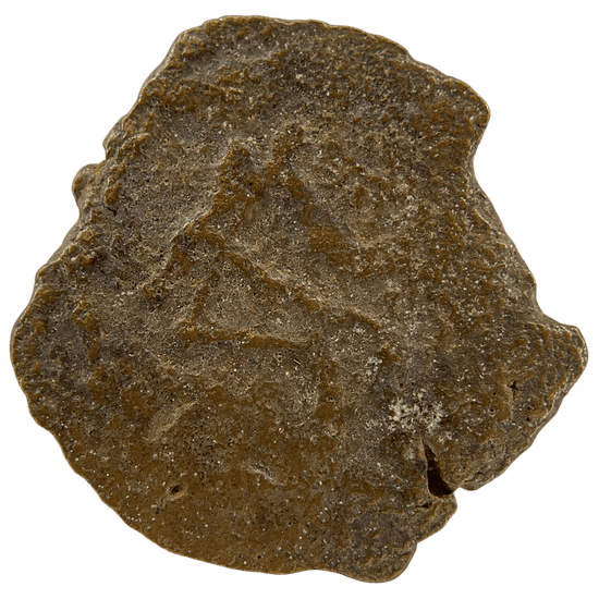 Reverse of bronze Herod the Great prutah, showing a three-legged Temple table