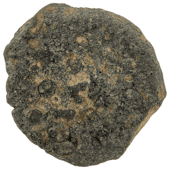Obverse of bronze Herod the Great prutah, showing a royal diadem