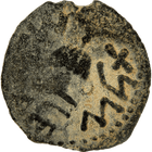 Specimen #6