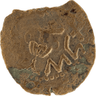 Specimen #7