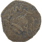 Specimen #47