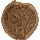 Specimen #49
