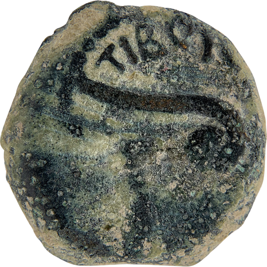 2026-03-16, temple-coins, pontius pilate, a, 114, obverse, isolated, 1080x1080, 253192c0.png