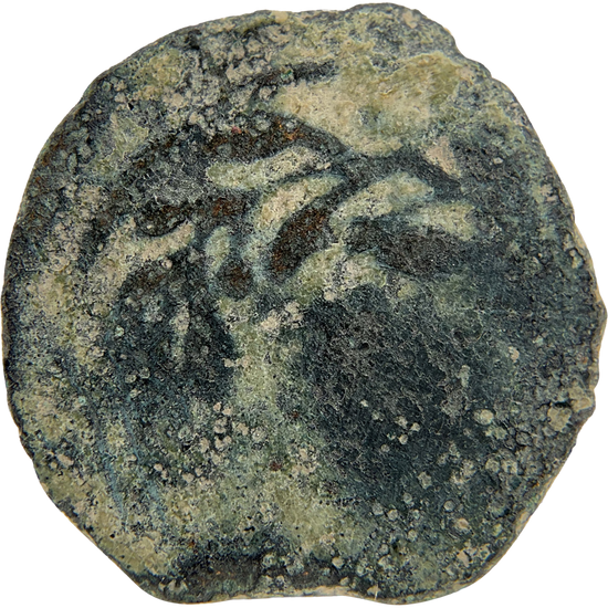 2026-03-16, temple-coins, pontius pilate, a, 114, reverse, isolated, 1080x1080, 5aaf2a01.png