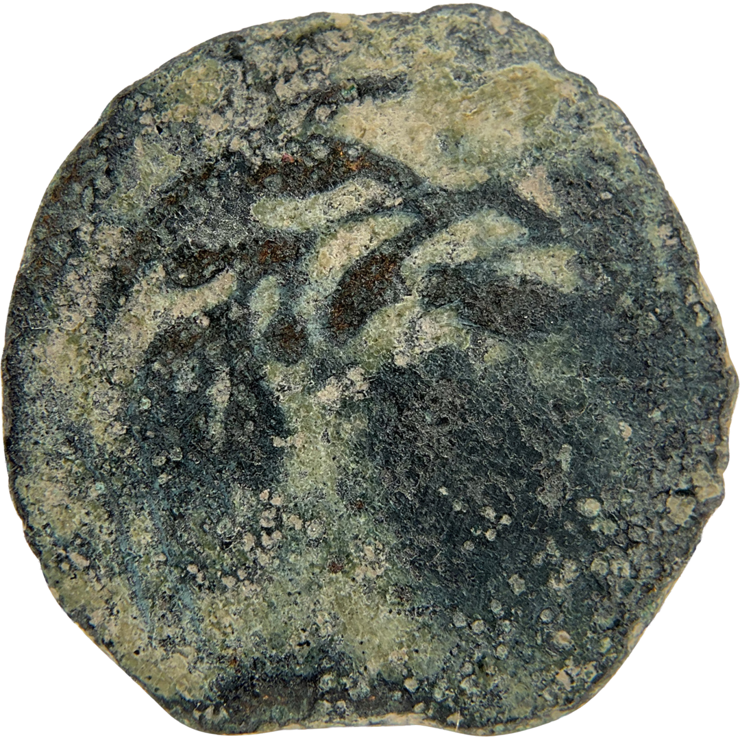2026-03-16, temple-coins, pontius pilate, a, 114, reverse, isolated, 1080x1080, 5aaf2a01.png