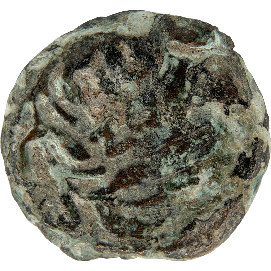 2026-03-16, temple-coins, pontius pilate, a, 128, reverse, isolated, 1080x1080, e9280aee.png