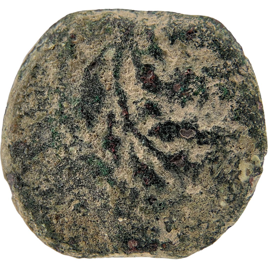 2026-03-16, temple-coins, pontius pilate, a, 132, reverse, isolated, 1080x1080, cd4c67b0.png