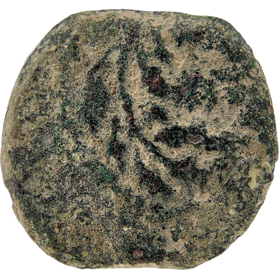 2026-03-16, temple-coins, pontius pilate, a, 132, reverse, isolated, 1080x1080, cd4c67b0.png