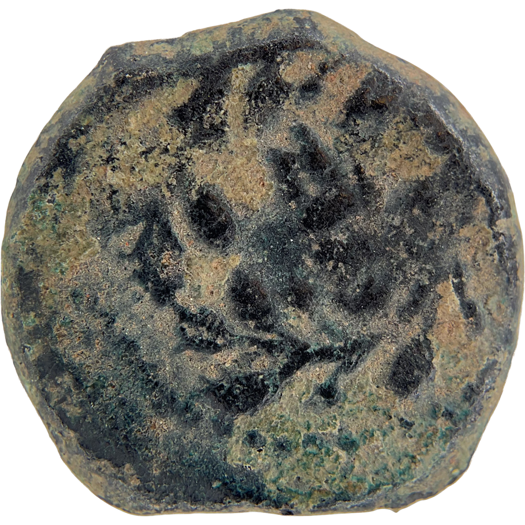 2026-03-16, temple-coins, pontius pilate, a, 139, reverse, isolated, 1080x1080, 6c61858a.png
