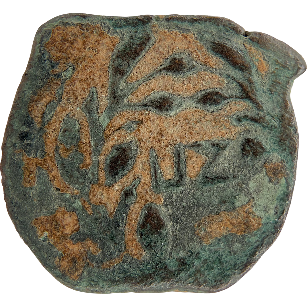 2026-03-16, temple-coins, pontius pilate, a, 141, reverse, isolated, 1080x1080, e8aa2b32.png