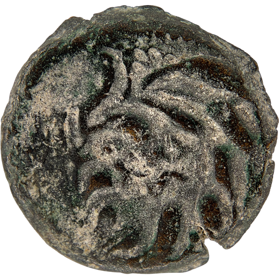 2026-03-16, temple-coins, pontius pilate, a, 142, reverse, isolated, 1080x1080, ada7de6a.png