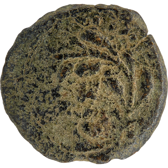 2026-03-16, temple-coins, pontius pilate, a, 143, reverse, isolated, 1080x1080, ee695165.png