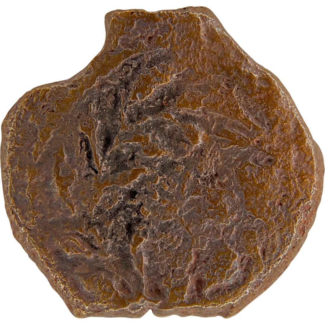 2026-03-16, temple-coins, pontius pilate, b, 53, obverse, isolated, 1080x1080, 31d4c27d.png