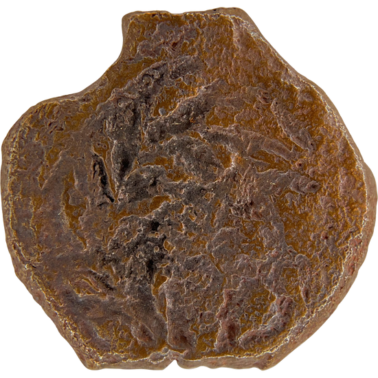 2026-03-16, temple-coins, pontius pilate, b, 53, obverse, isolated, 1080x1080, 31d4c27d.png