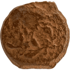 Specimen #54