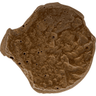 Specimen #56