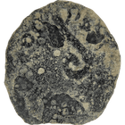 Specimen #60