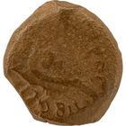 Specimen #62