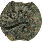 Specimen #63