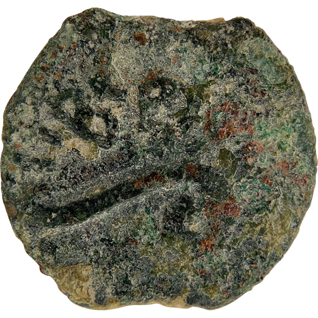 2026-03-16, temple-coins, pontius pilate, b, 63, obverse, isolated, 1080x1080, 93632a03.png