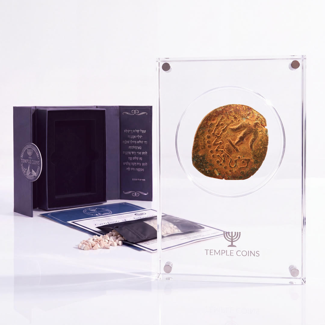 Bronze Widow's Mite prutah, anchor obverse, in a display case with gift box, certificate and a packet of crushed Jerusalem stone