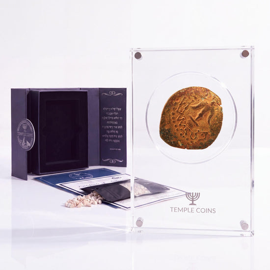 Bronze Widow's Mite prutah, anchor obverse, in a display case with gift box, certificate and a packet of crushed Jerusalem stone