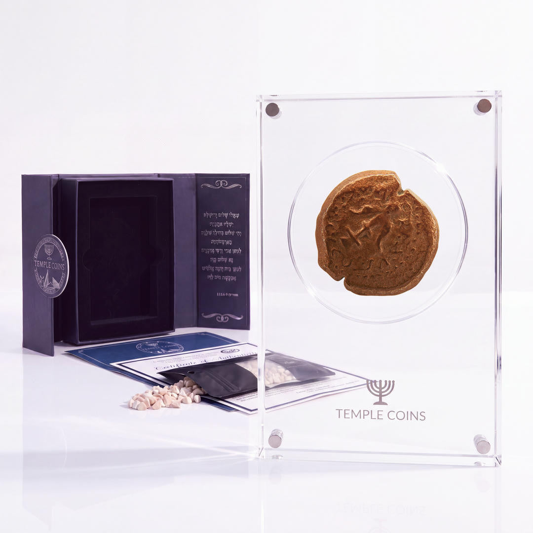 Bronze Widow's Mite prutah, anchor obverse, in a display case with gift box, certificate and a packet of crushed Jerusalem stone
