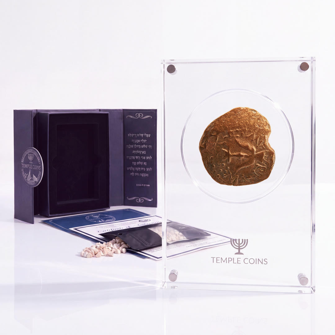 Bronze Widow's Mite prutah, anchor obverse, in a display case with gift box, certificate and a packet of crushed Jerusalem stone