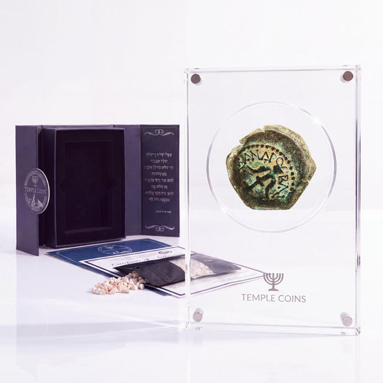 Bronze Widow's Mite prutah, anchor obverse, in a display case with gift box, certificate and a packet of crushed Jerusalem stone