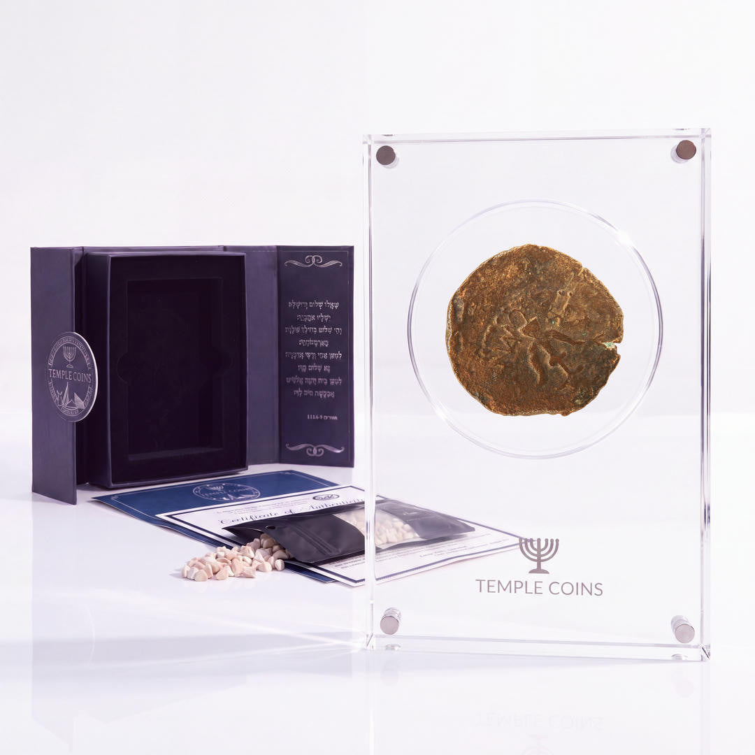 Bronze Widow's Mite prutah, anchor obverse, in a display case with gift box, certificate and a packet of crushed Jerusalem stone