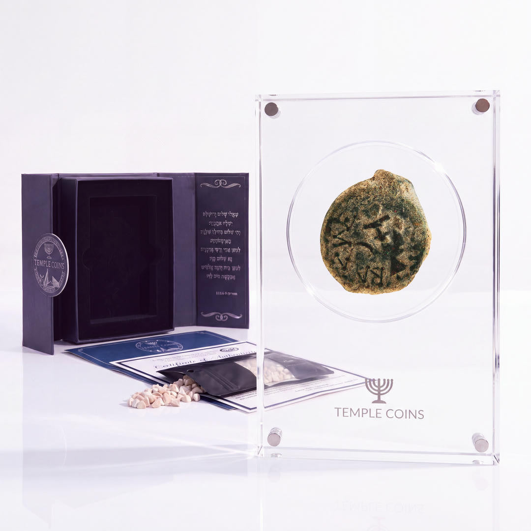 Bronze Widow's Mite prutah, anchor obverse, in a display case with gift box, certificate and a packet of crushed Jerusalem stone