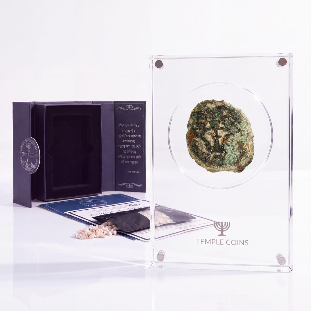 Bronze Widow's Mite prutah, anchor obverse, in a display case with gift box, certificate and a packet of crushed Jerusalem stone