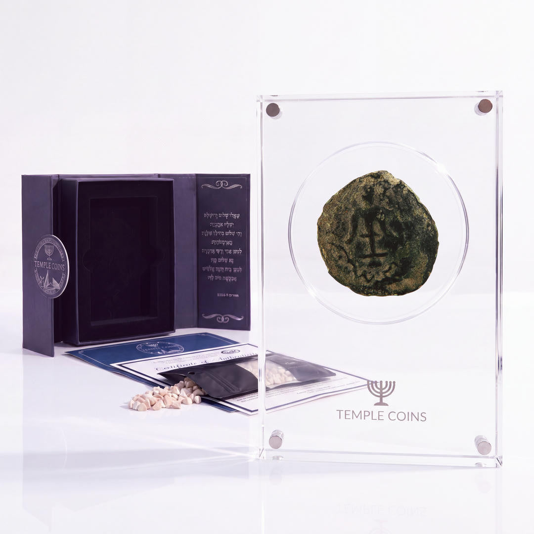 Bronze Widow's Mite prutah, anchor obverse, in a display case with gift box, certificate and a packet of crushed Jerusalem stone