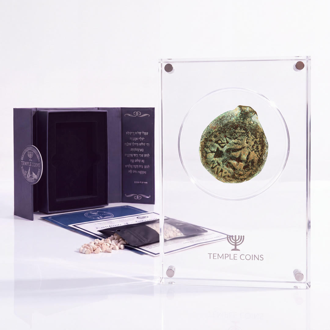 Bronze Widow's Mite prutah, anchor obverse, in a display case with gift box, certificate and a packet of crushed Jerusalem stone