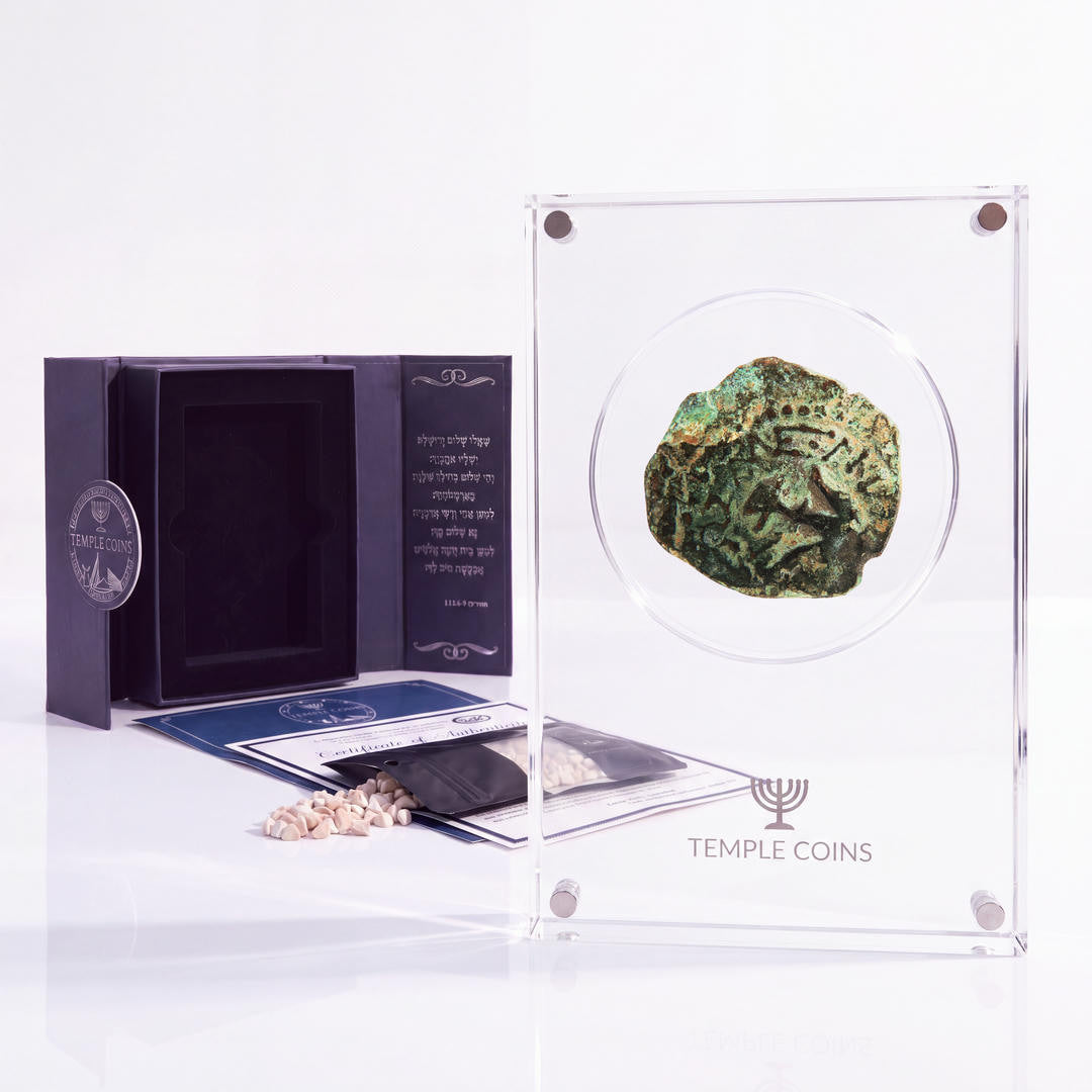 Bronze Widow's Mite prutah, anchor obverse, in a display case with gift box, certificate and a packet of crushed Jerusalem stone