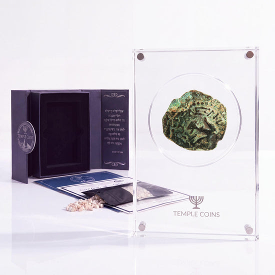 Bronze Widow's Mite prutah, anchor obverse, in a display case with gift box, certificate and a packet of crushed Jerusalem stone