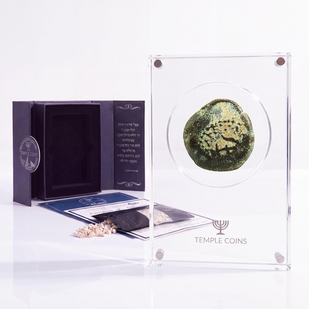 Bronze Widow's Mite prutah, anchor obverse, in a display case with gift box, certificate and a packet of crushed Jerusalem stone