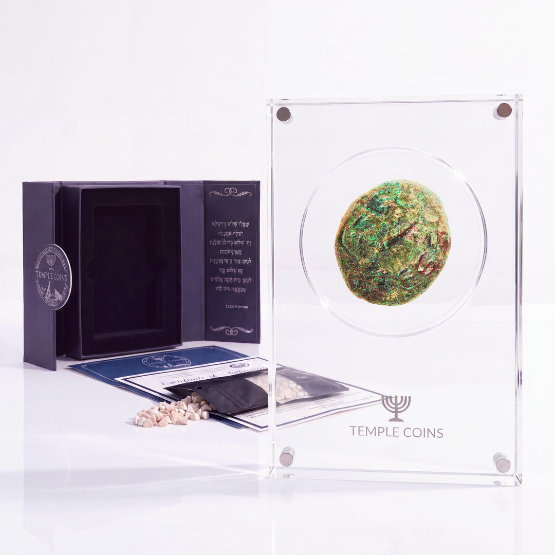 Bronze Simon bar Kokhba dupondius, lyre obverse, in a display case with gift box, certificate and a packet of crushed Jerusalem stone