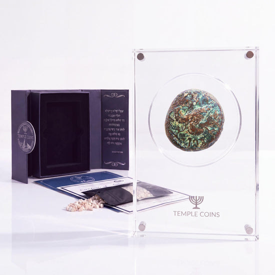 Bronze Simon bar Kokhba issar, palm tree obverse, in a display case with gift box, certificate and a packet of crushed Jerusalem stone