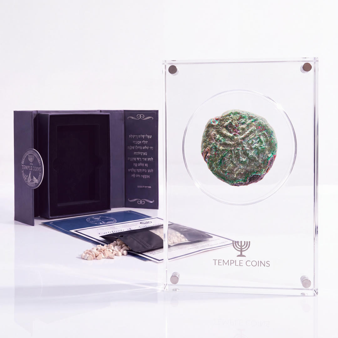 Bronze Simon bar Kokhba issar, palm tree obverse, in a display case with gift box, certificate and a packet of crushed Jerusalem stone