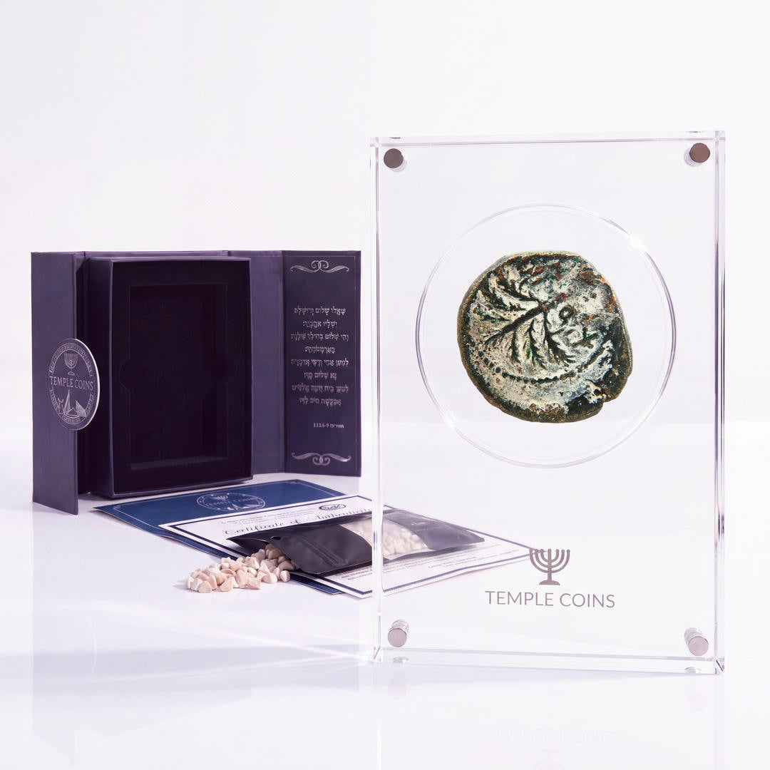 Bronze Simon bar Kokhba issar, palm tree obverse, in a display case with gift box, certificate and a packet of crushed Jerusalem stone