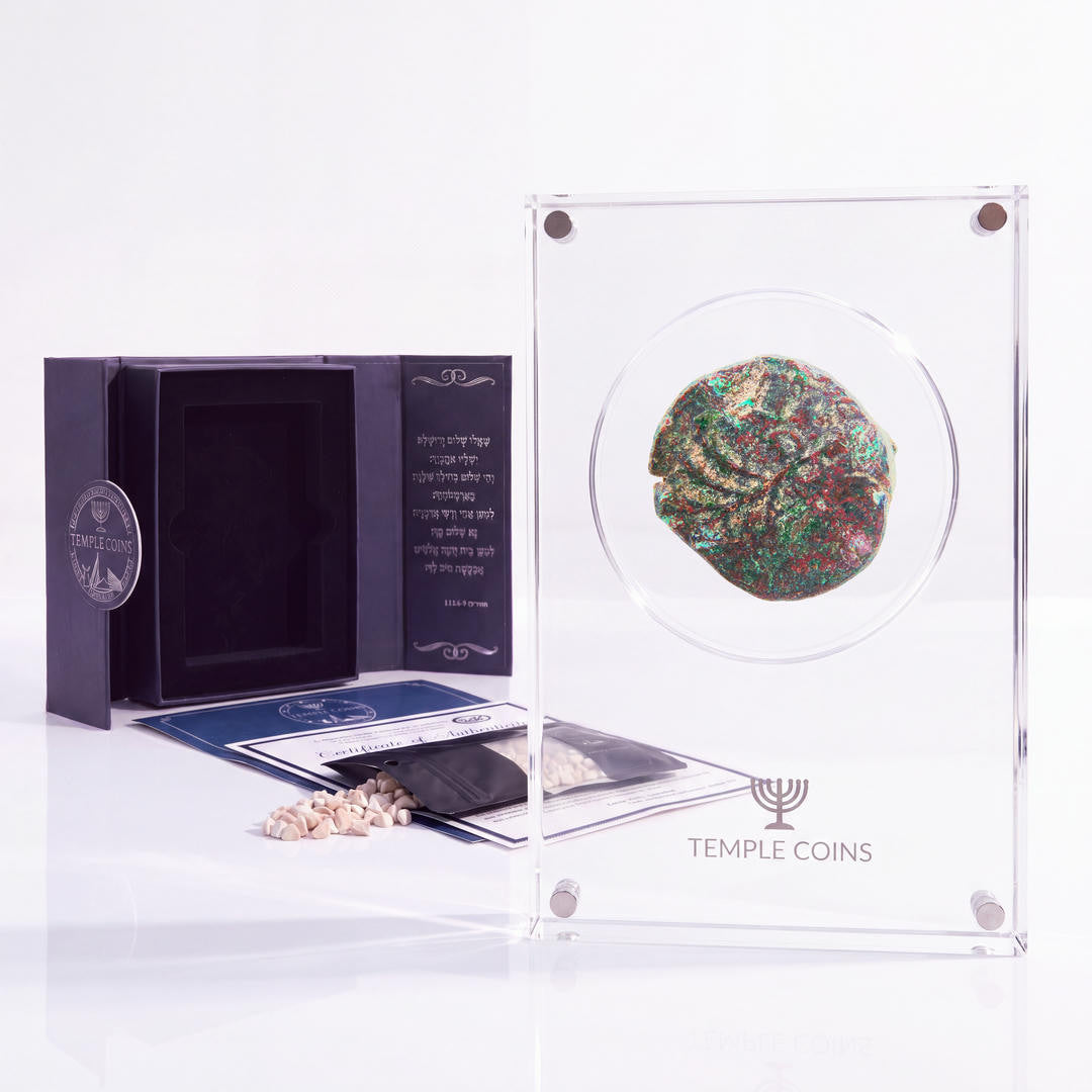 Bronze Simon bar Kokhba issar, palm tree obverse, in a display case with gift box, certificate and a packet of crushed Jerusalem stone