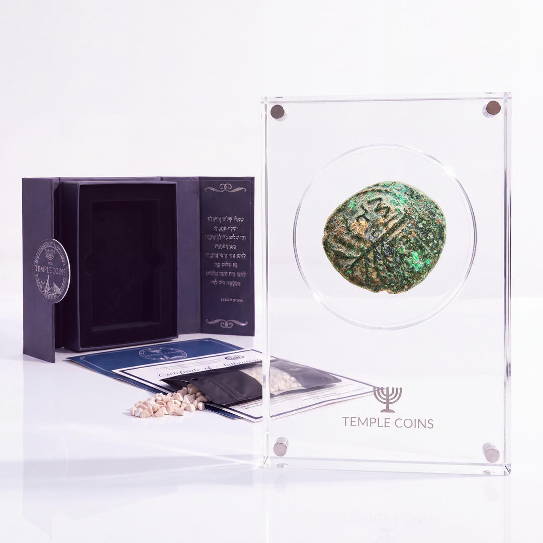 Bronze Simon bar Kokhba issar, palm tree obverse, in a display case with gift box, certificate and a packet of crushed Jerusalem stone