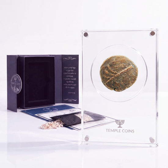 Bronze Simon bar Kokhba issar, palm tree obverse, in a display case with gift box, certificate and a packet of crushed Jerusalem stone