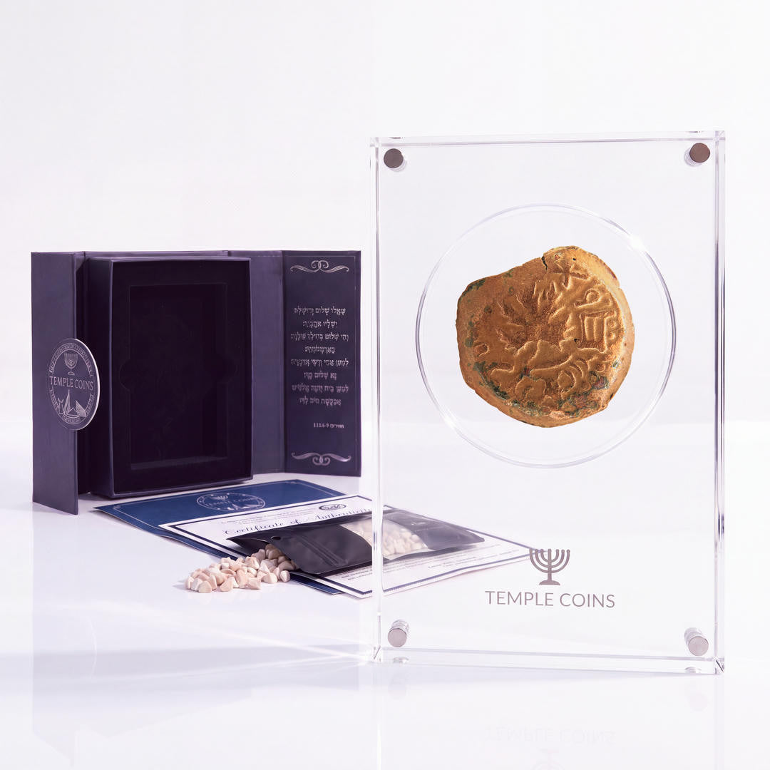 Bronze Masada prutah, amphora obverse, in a display case with gift box, certificate and a packet of crushed Jerusalem stone